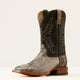 TAN PYTHON/ANCIENT BLACK