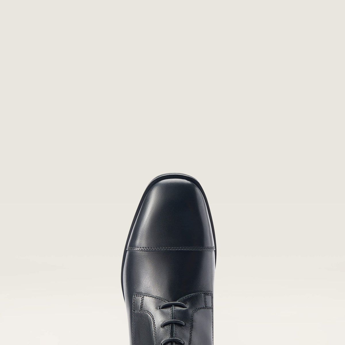 Ariat Recommended | Women Ravello Tall Riding Boot
