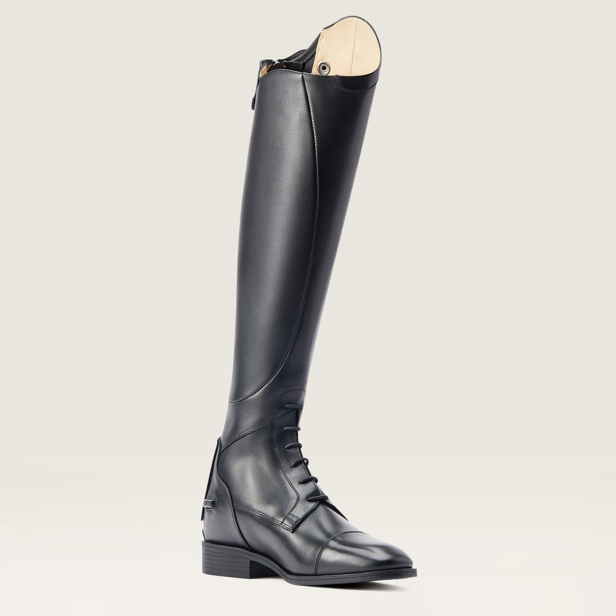 Ariat Recommended | Women Ravello Tall Riding Boot