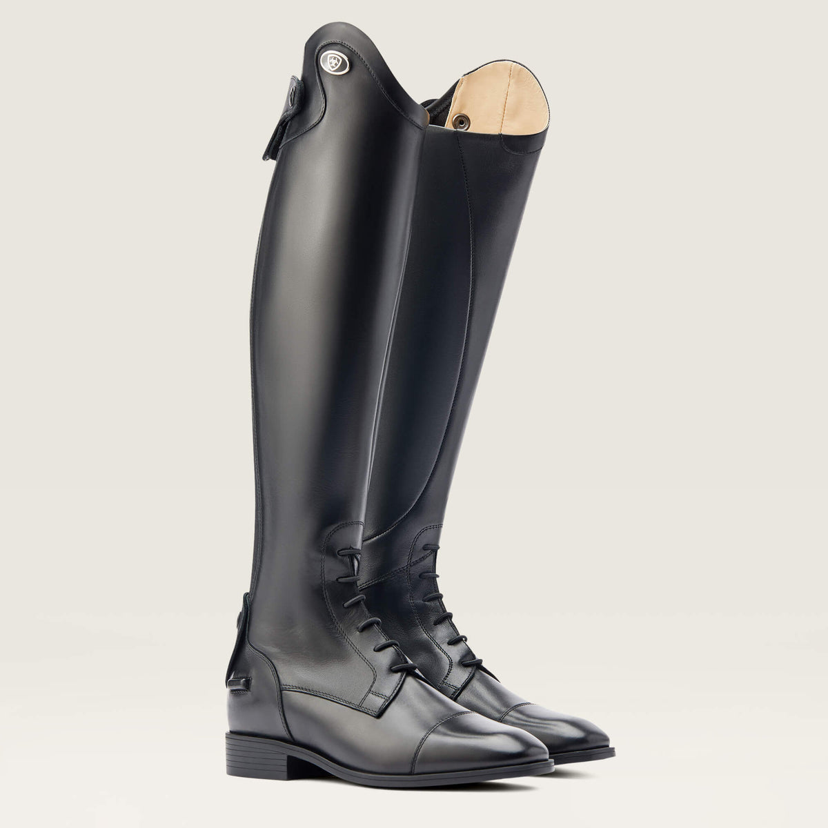 Ariat Recommended | Women Ravello Tall Riding Boot